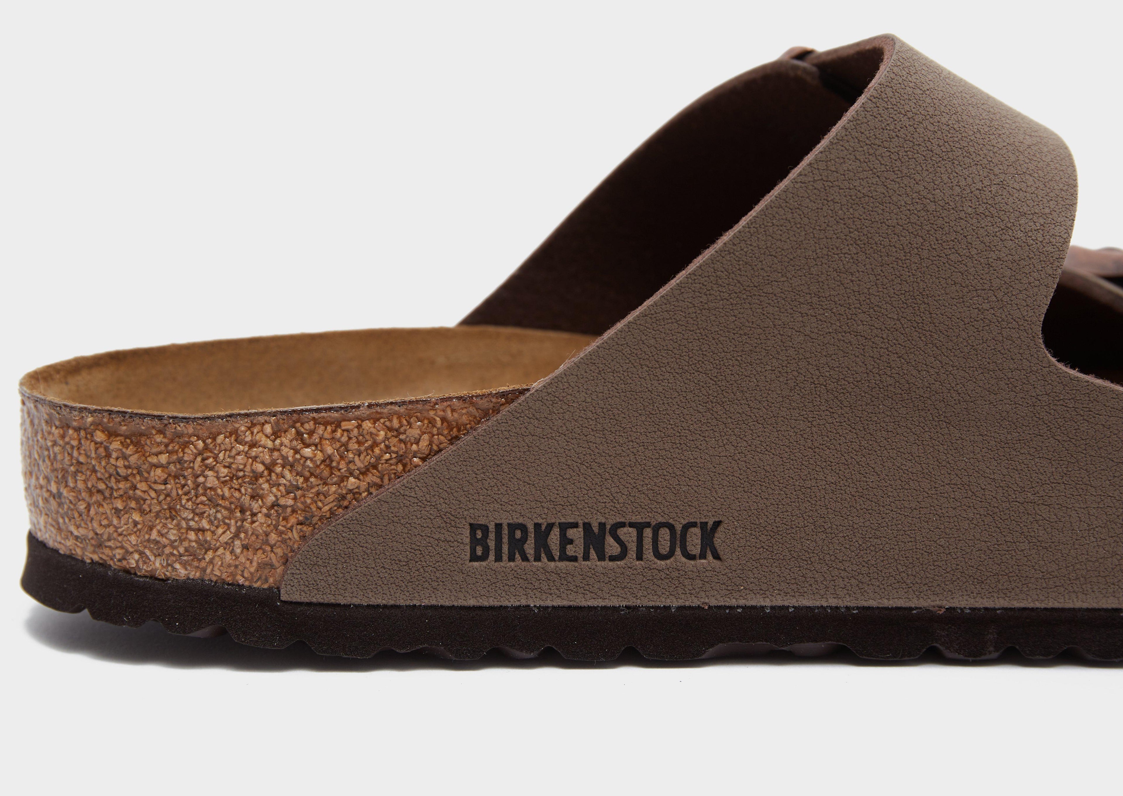 Arizona BirkiBuc Slides