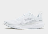 Pegasus 41