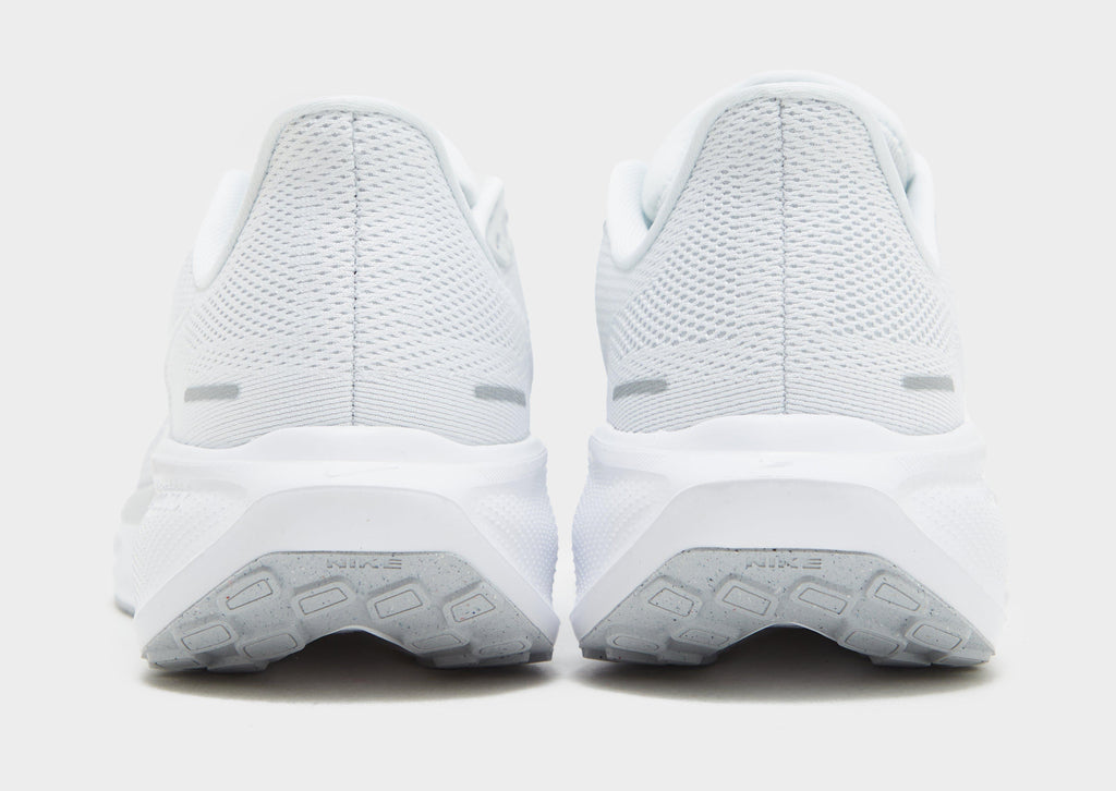 Pegasus 41