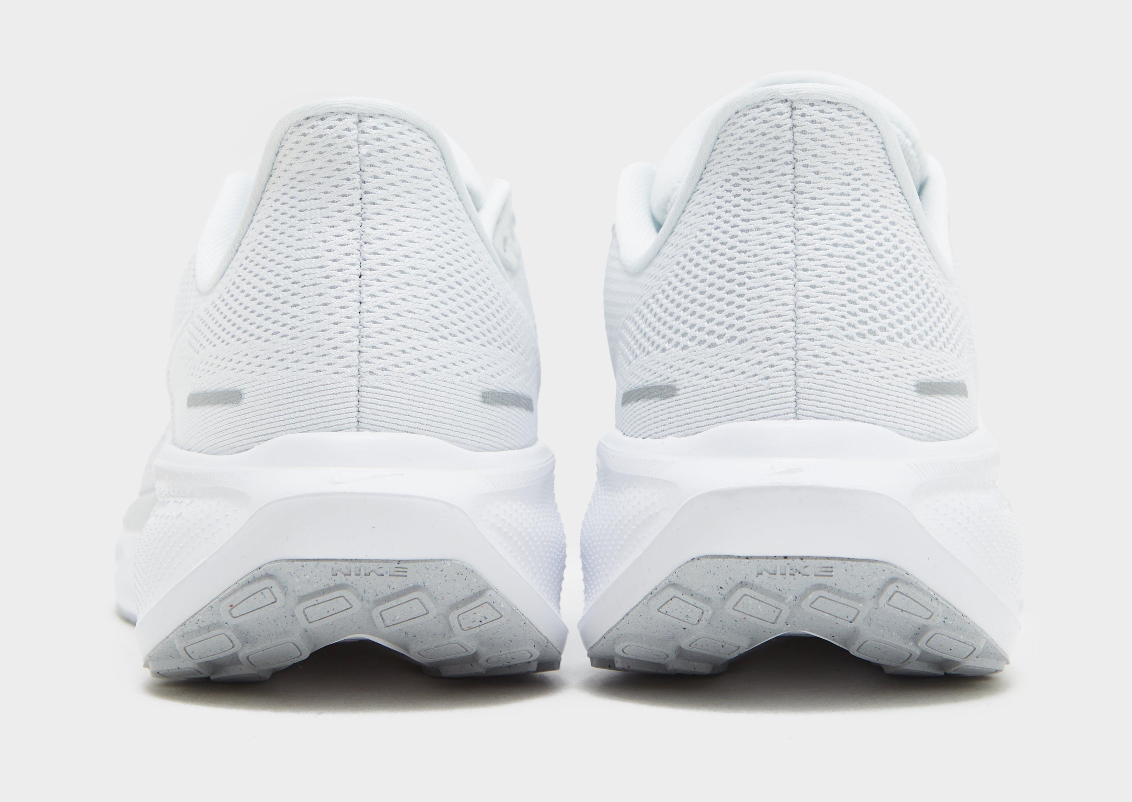 Pegasus 41