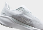 Pegasus 41