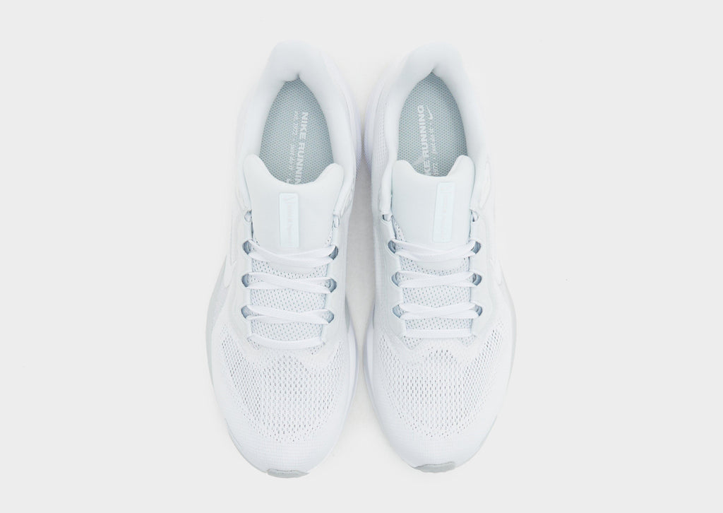 Pegasus 41