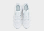 Pegasus 41