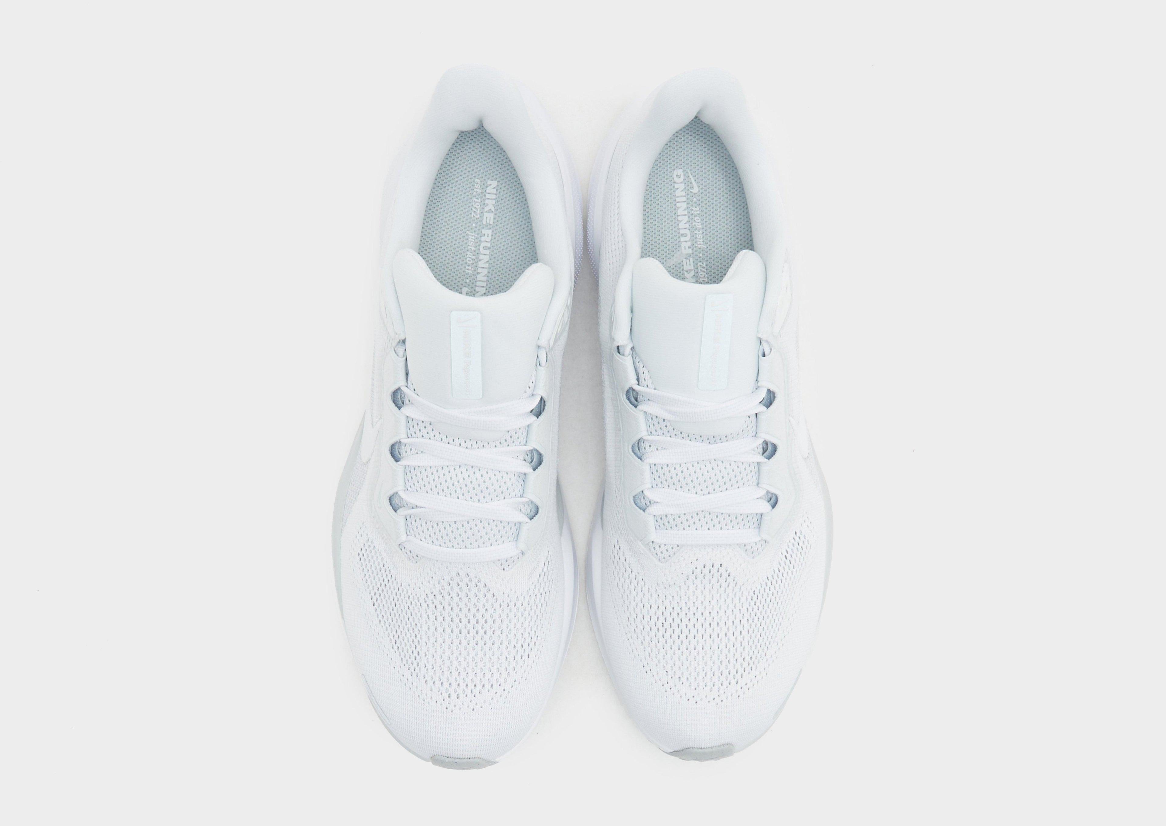 Pegasus 41