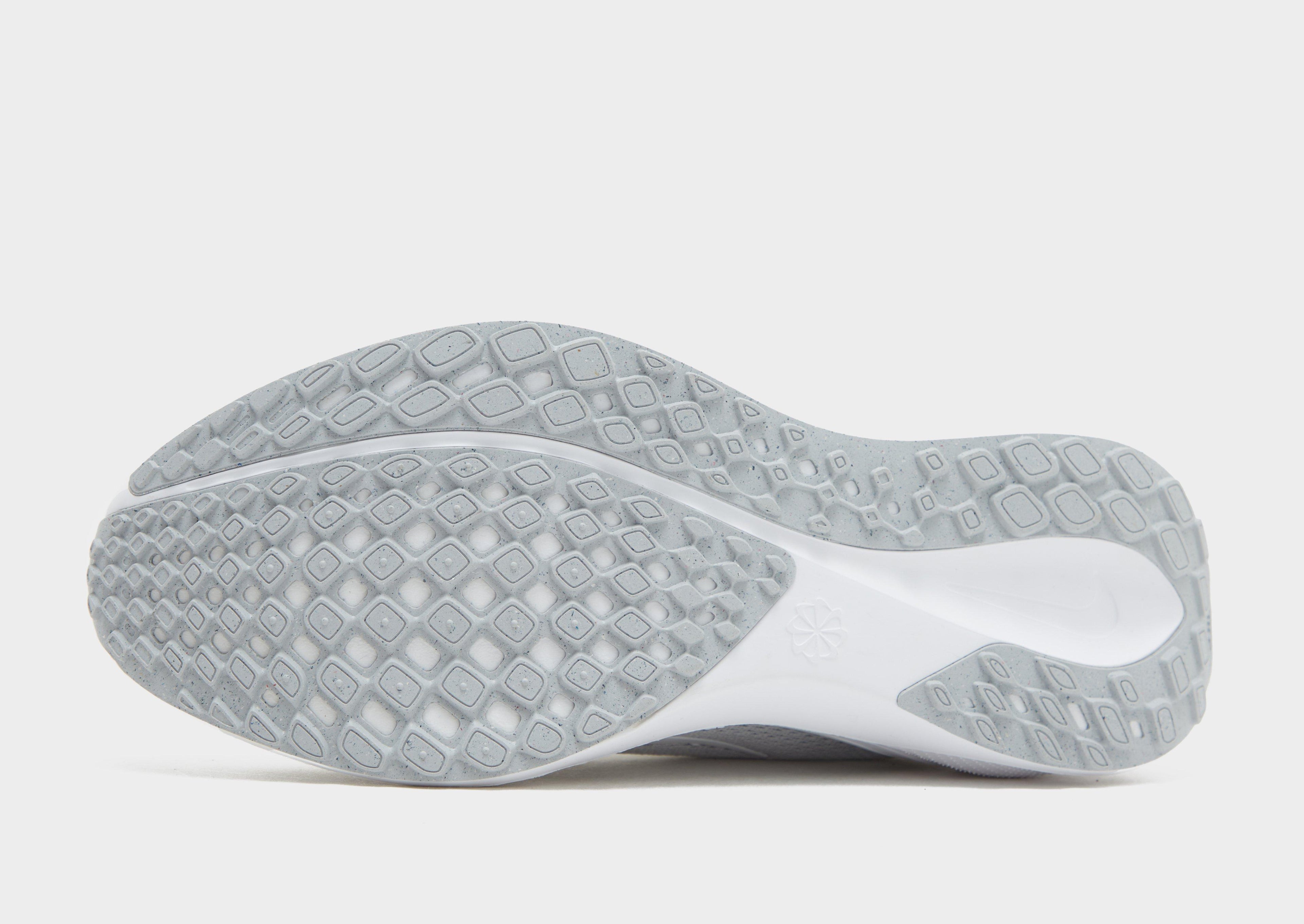 Pegasus 41