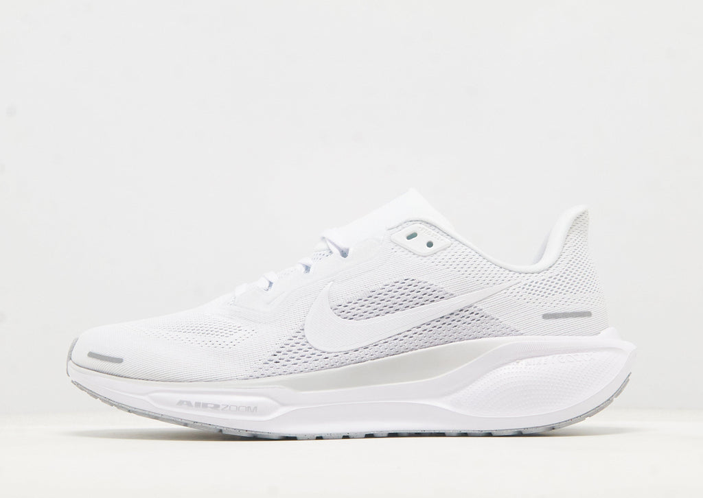 Pegasus 41