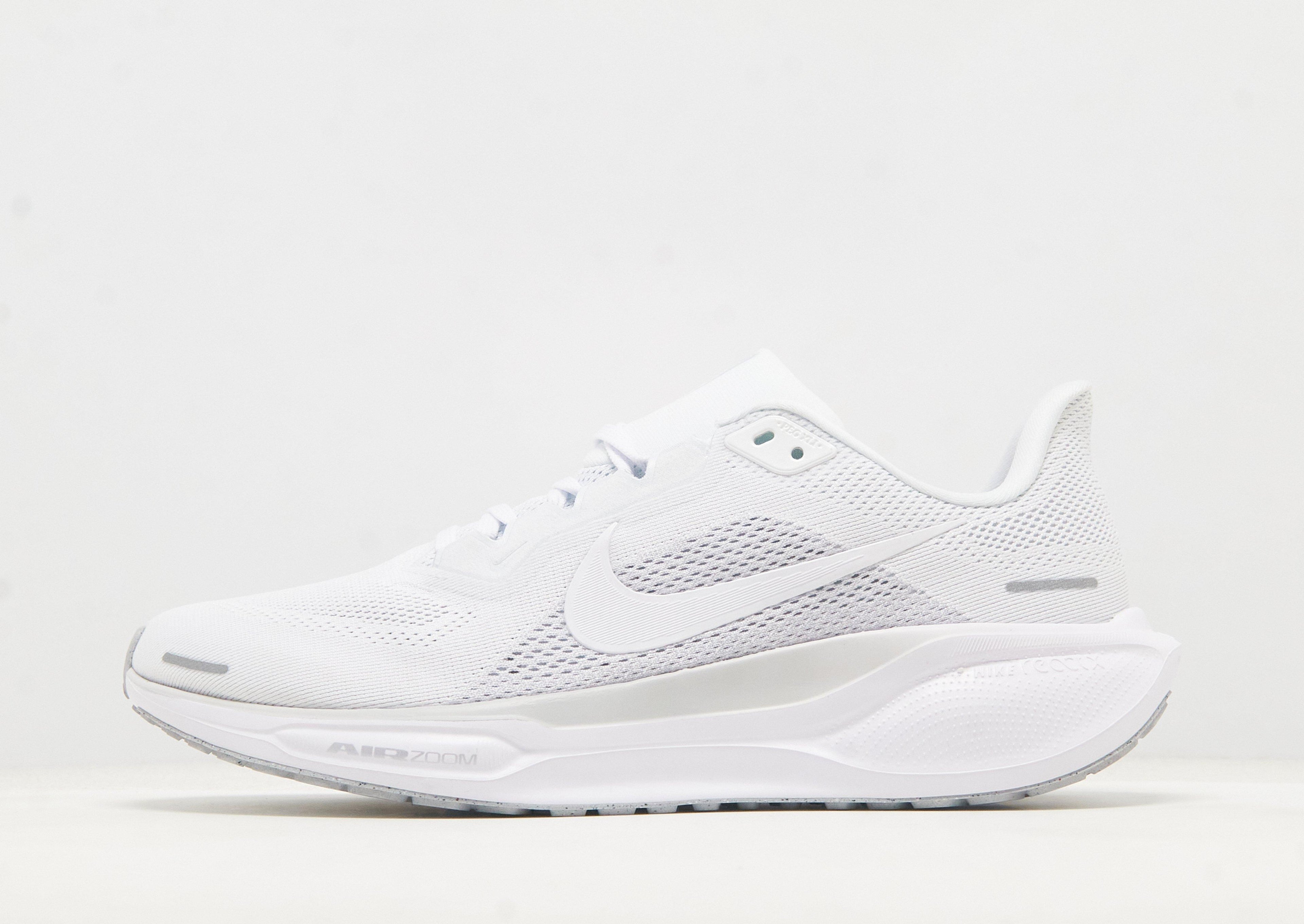 Pegasus 41