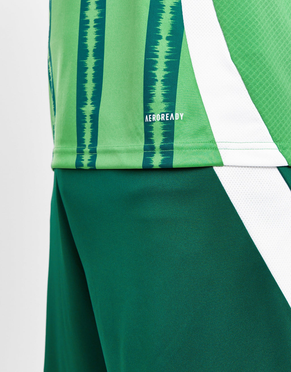 Northern Ireland 2024 Home Shirt