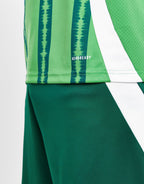 Northern Ireland 2024 Home Shirt