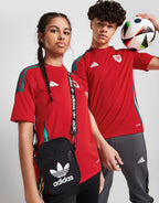 Wales 2024 Home Shirt Junior