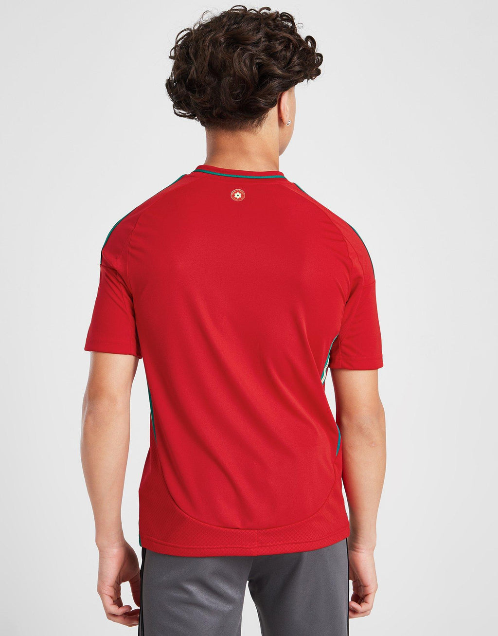 Wales 2024 Home Shirt Junior