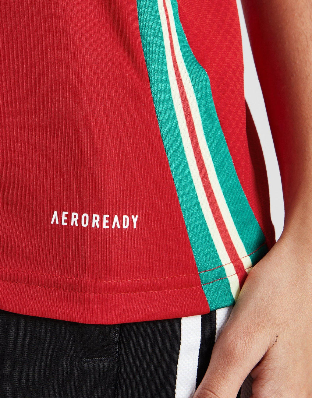 Wales 2024 Home Shirt Junior