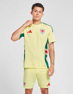 Wales 2024 Away Shirt