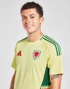 Wales 2024 Away Shirt