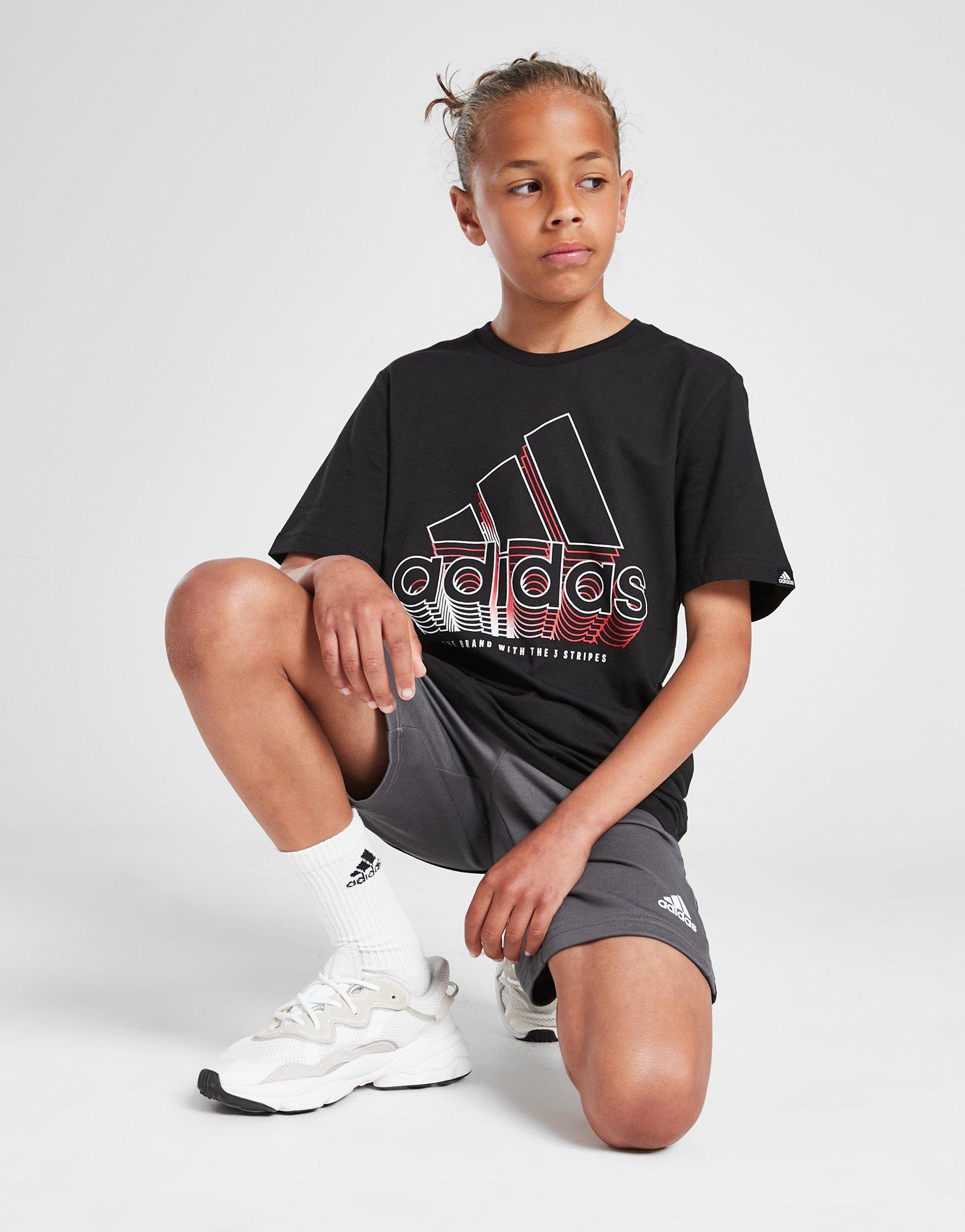 Badge of Sport Fade Graphic T-Shirt Junior