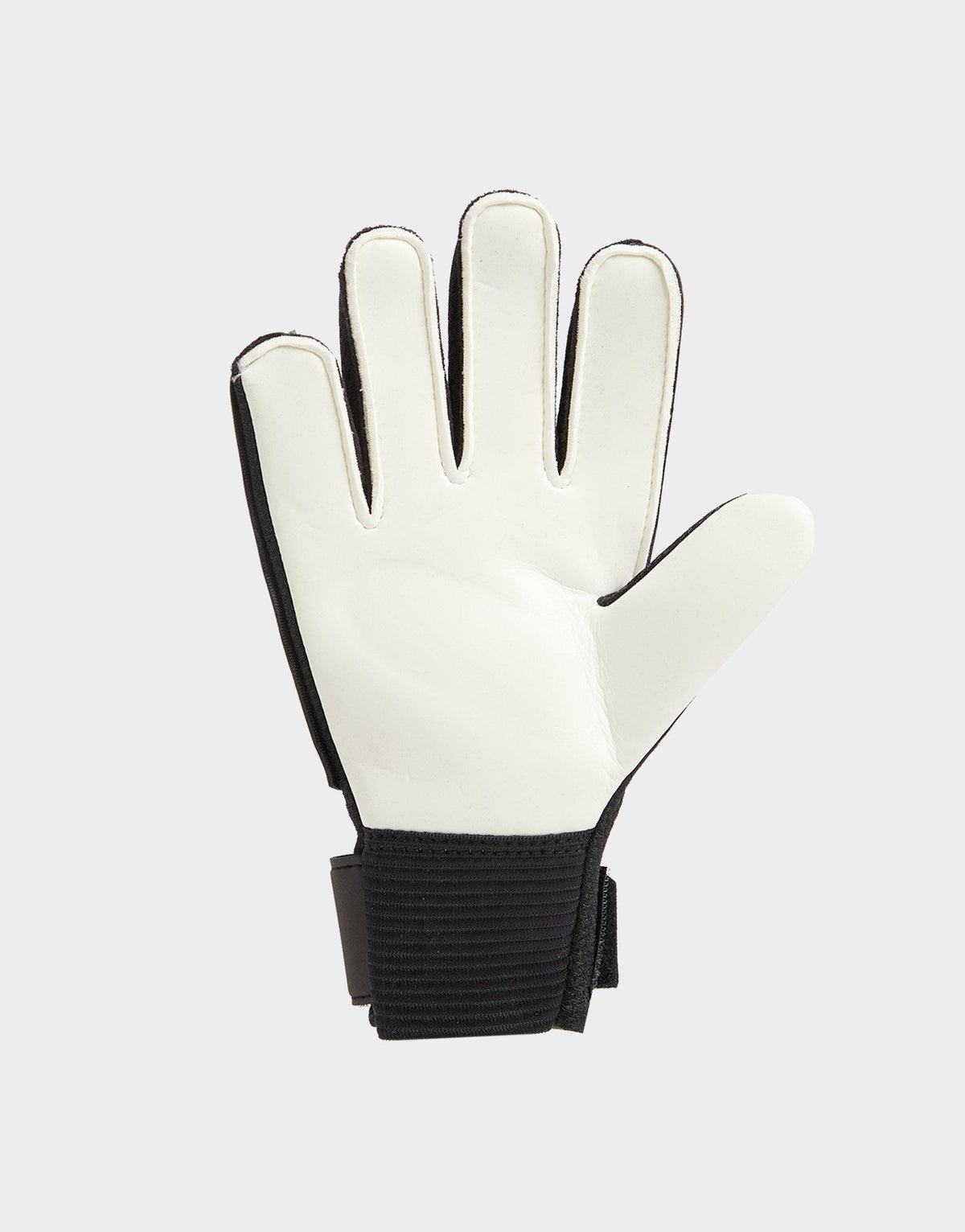 Match Goalkeeper Gloves Junior