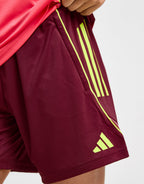 Wales WEC Tiro 25 Training Shorts