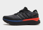 ZX RS