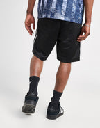 Firebird Shorts
