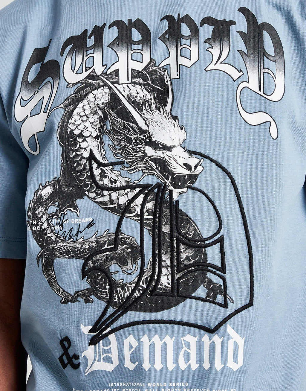 Dragon T-Shirt Junior