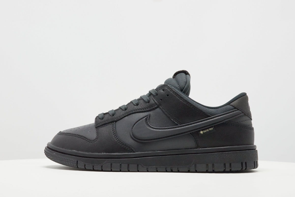 Dunk Low GORE-TEX