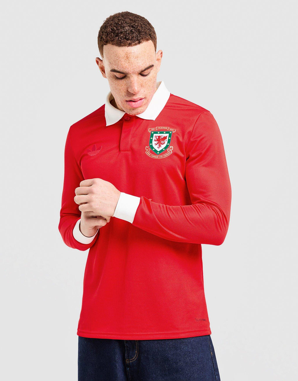 Wales 150th Anniversary Shirt