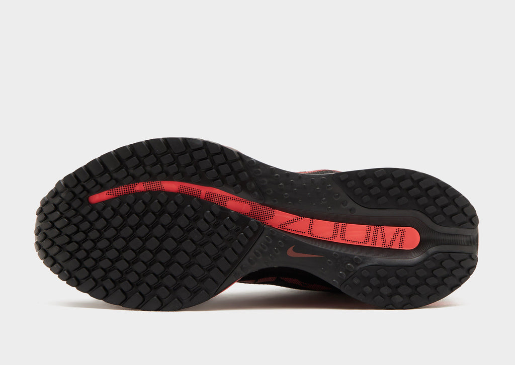 Pegasus Premium SE Women's