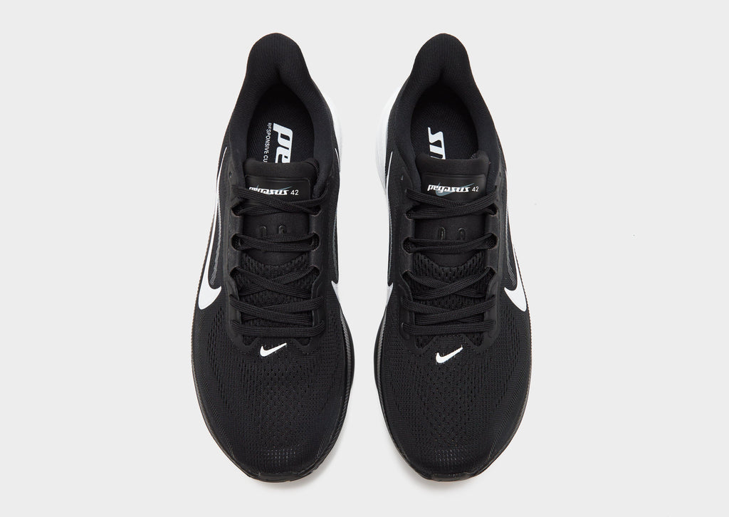 Pegasus 42