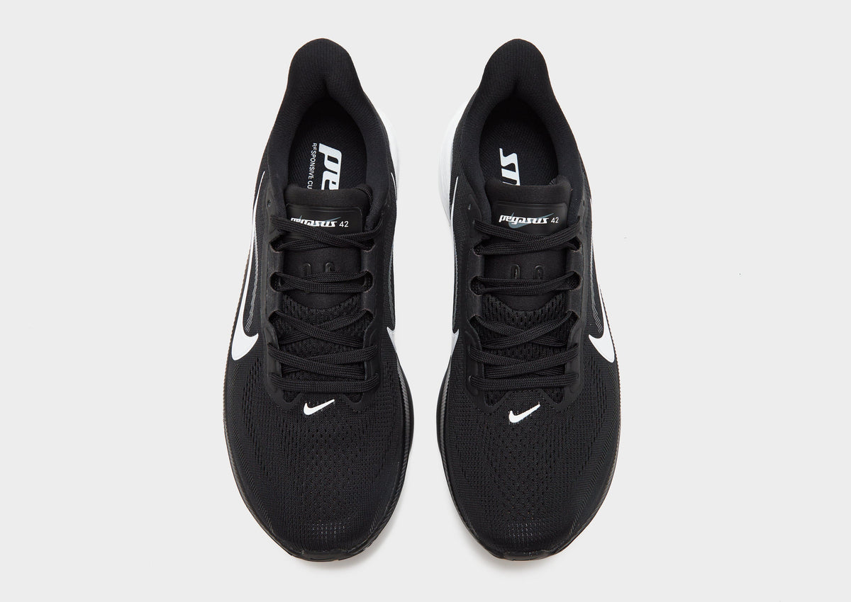 Pegasus 42