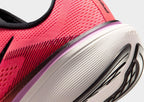 Pegasus 42 Women's