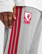 Liverpool FC European Training Pants