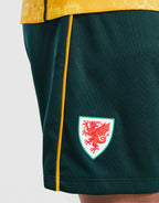 Wales 2026/27 Away Kit Children