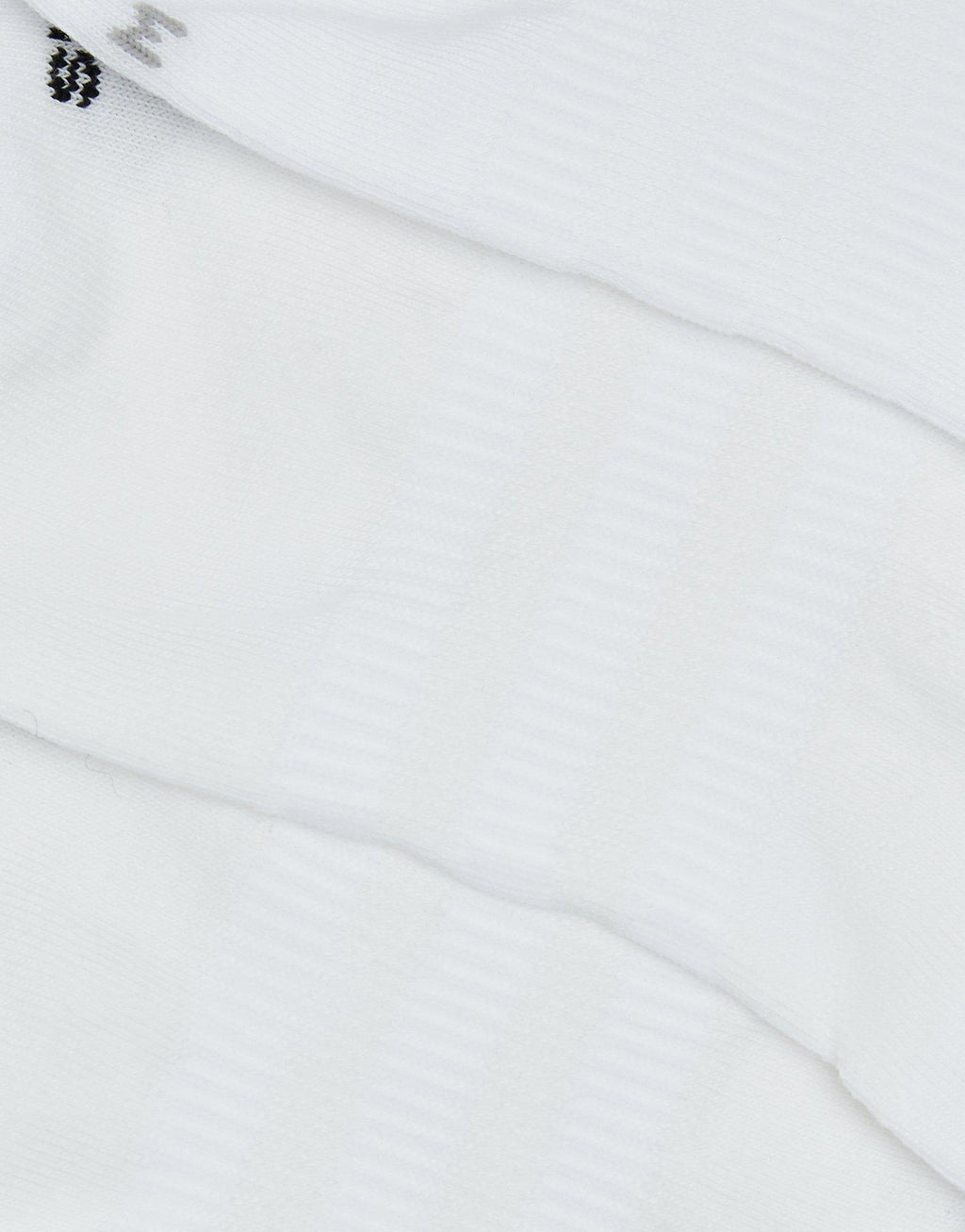 No Show Socks 3 Pack