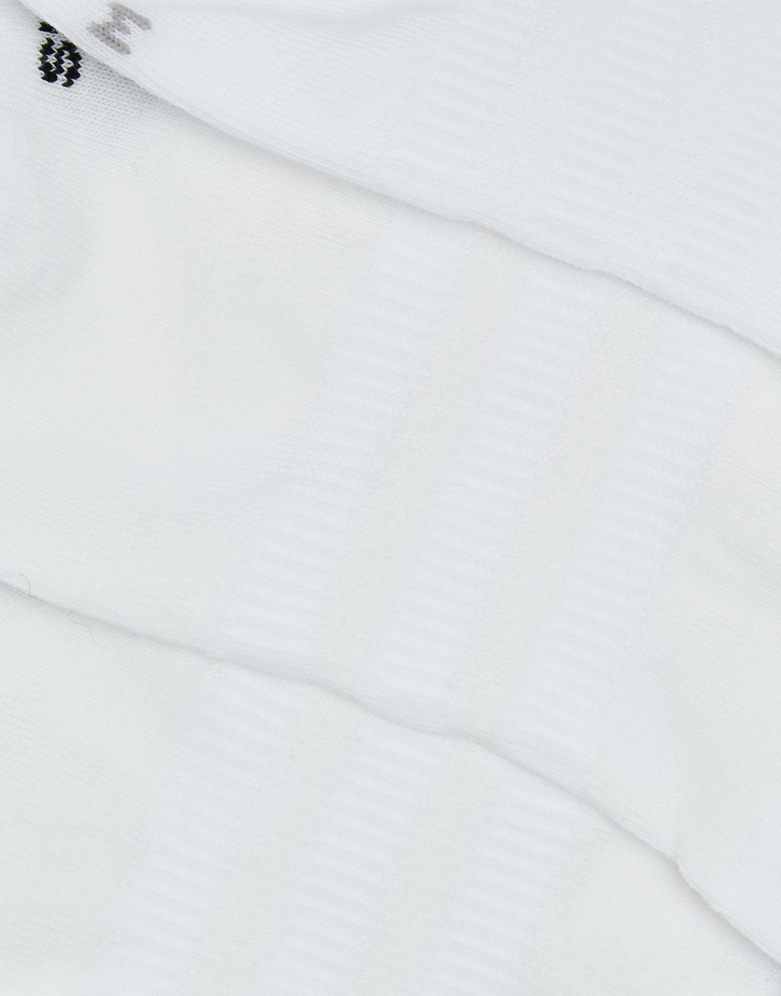 No Show Socks 3 Pack
