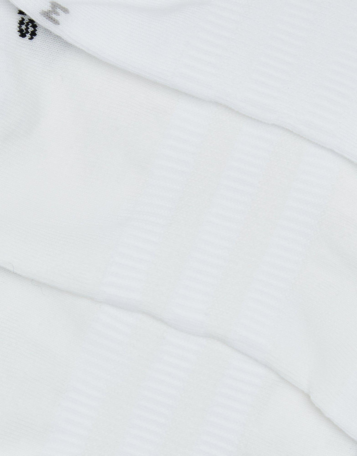 No Show Socks 3 Pack