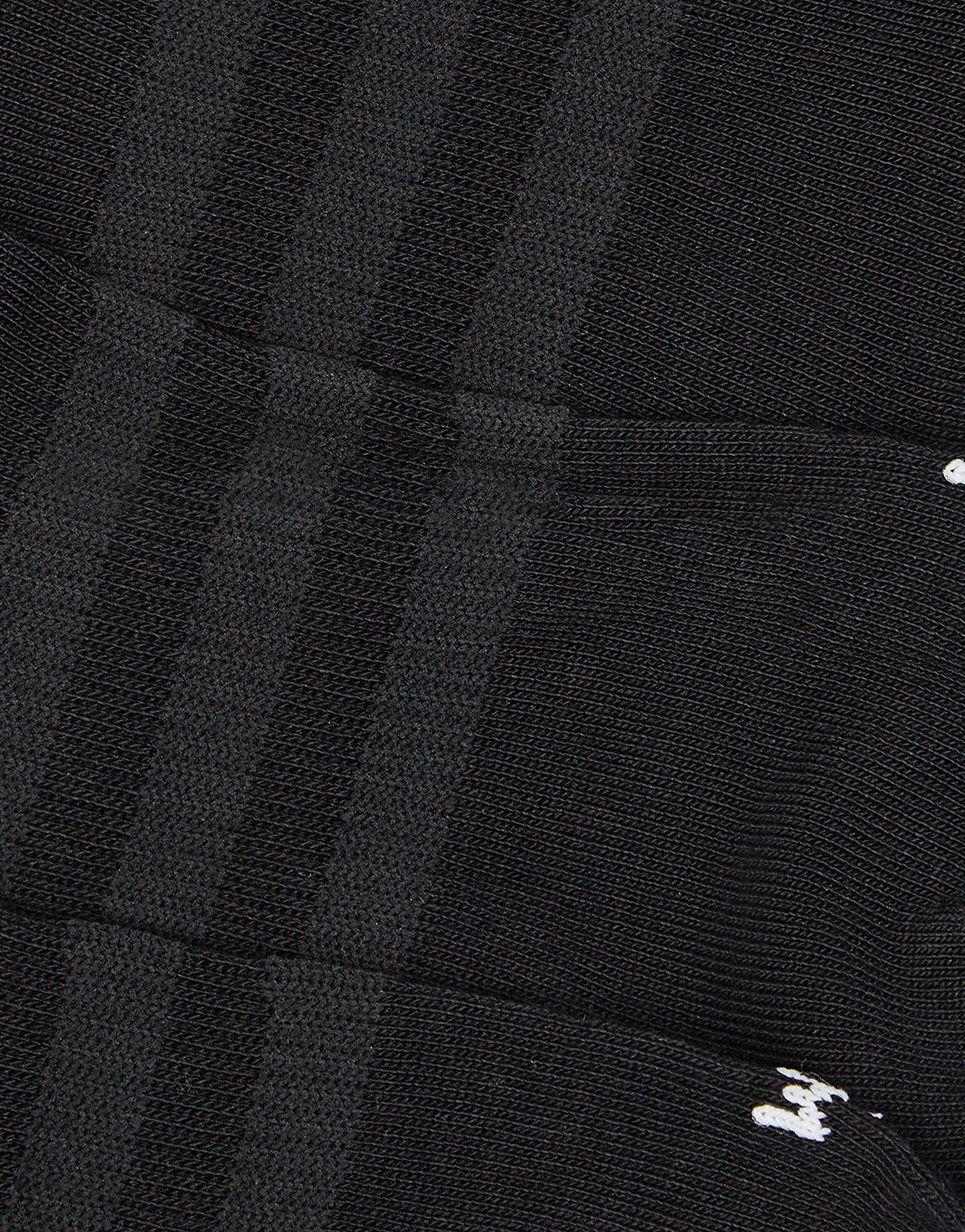 No Show Socks 3 Pack
