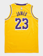 LA Lakers James Jersey Junior's
