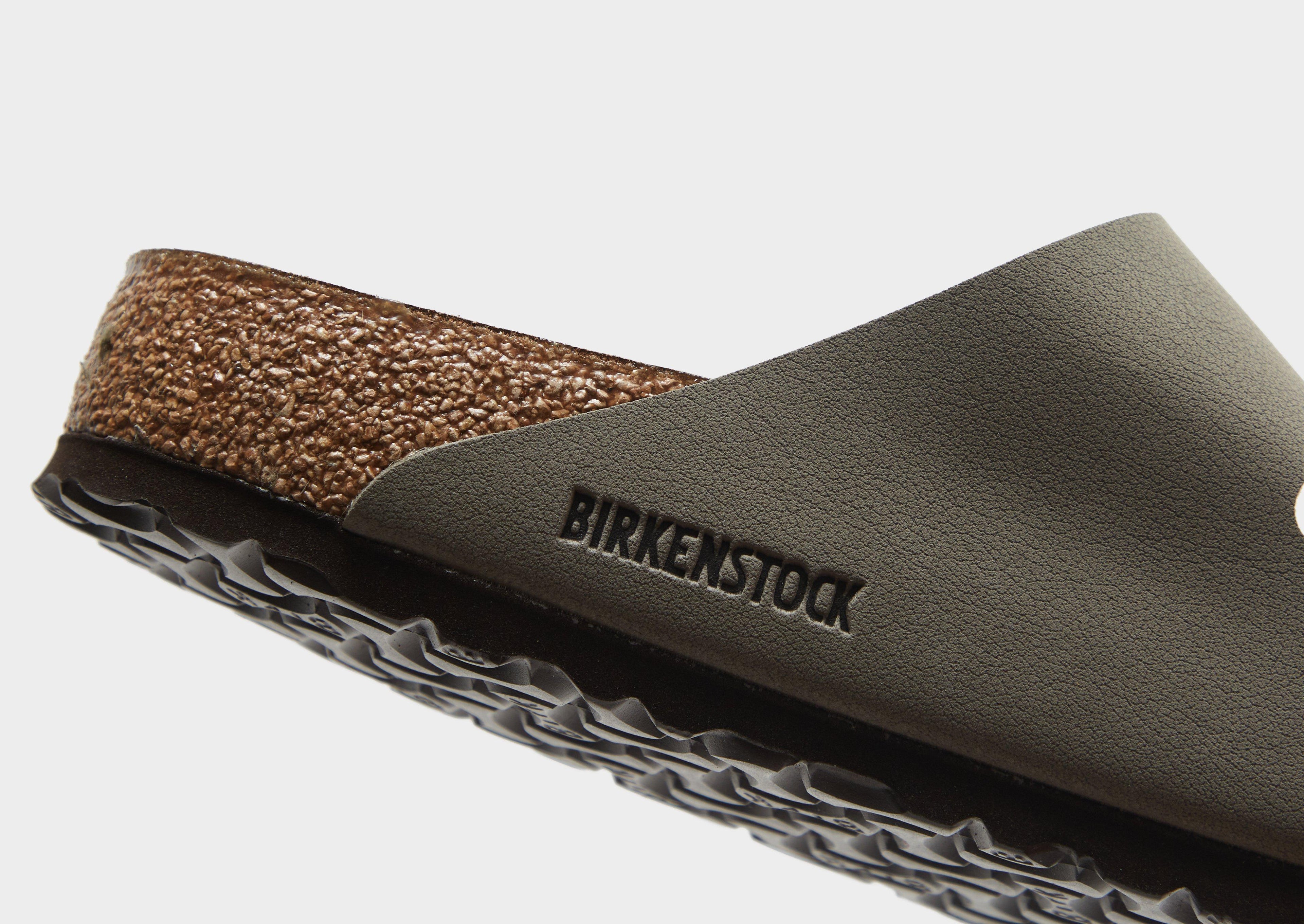 Arizona BirkiBuc Slides