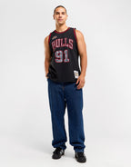 Chicago Bulls Rodman Jersey