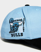 Chicago Bulls Cap