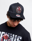 Chicago Bulls Cap