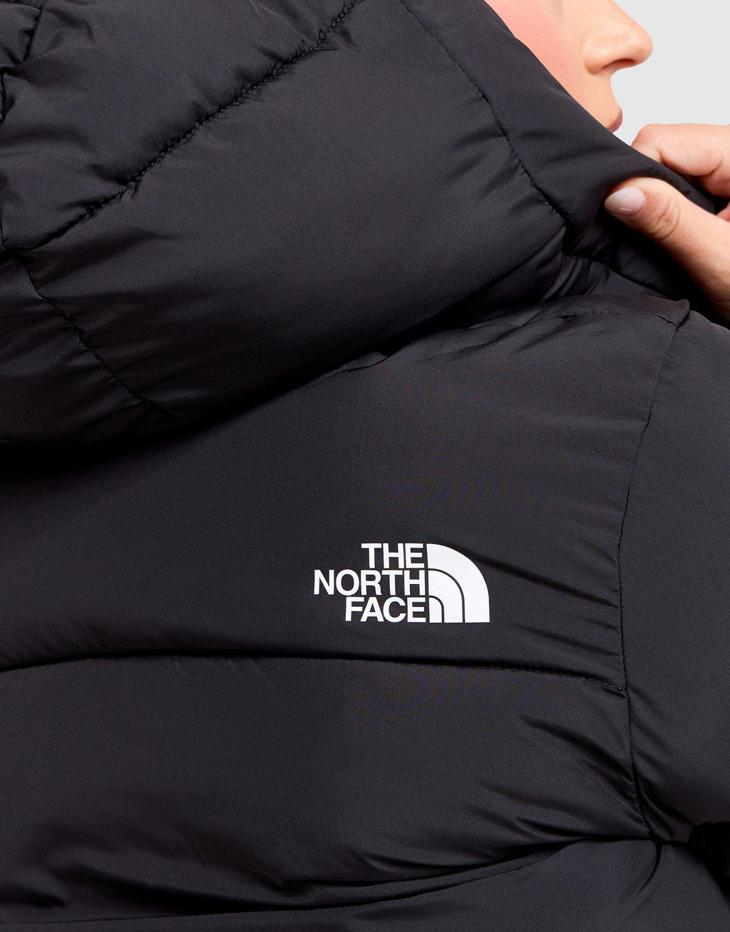 Dome Padded Jacket