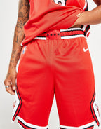 NBA Chicago Bulls Swingman Shorts