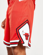 NBA Chicago Bulls Swingman Shorts