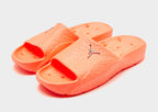 Franchise Slides