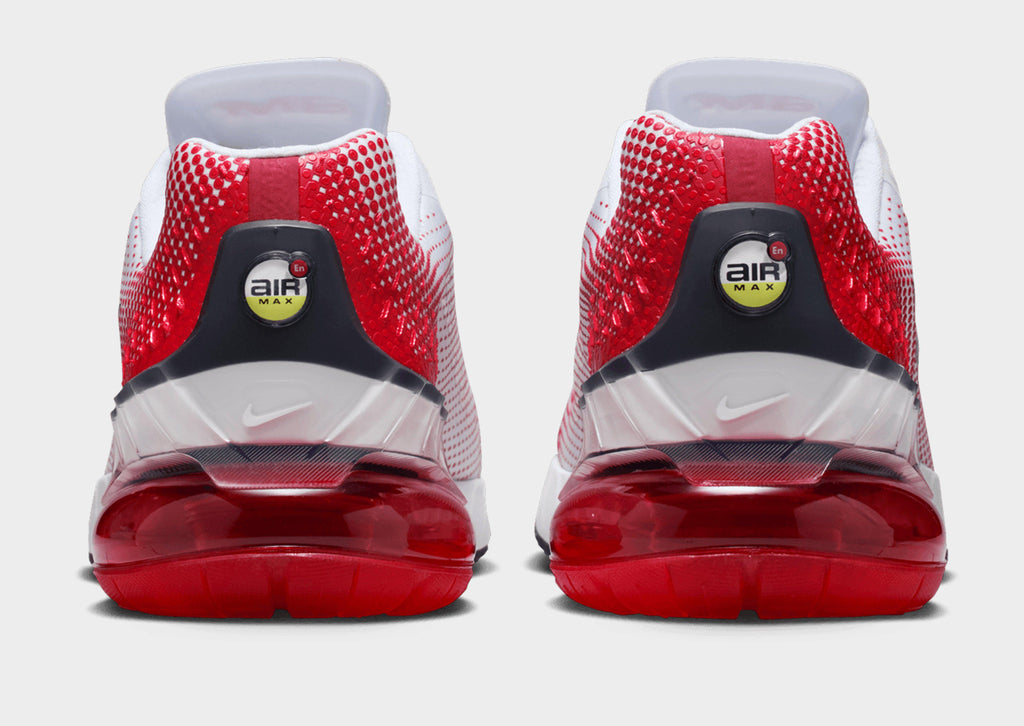 Air Max Phoenix