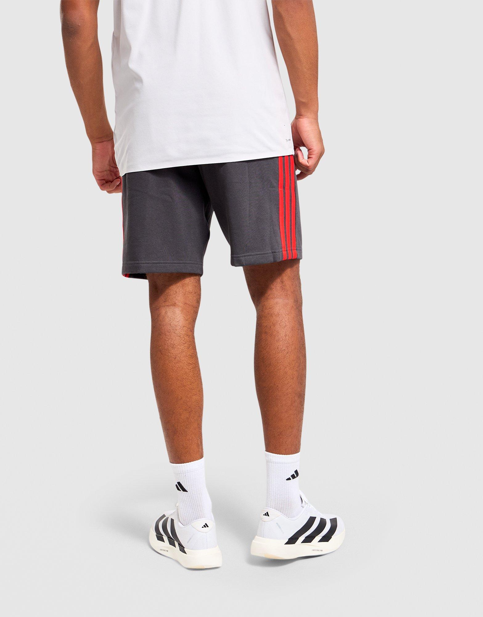 Audi Revolut F1 Team DNA Shorts