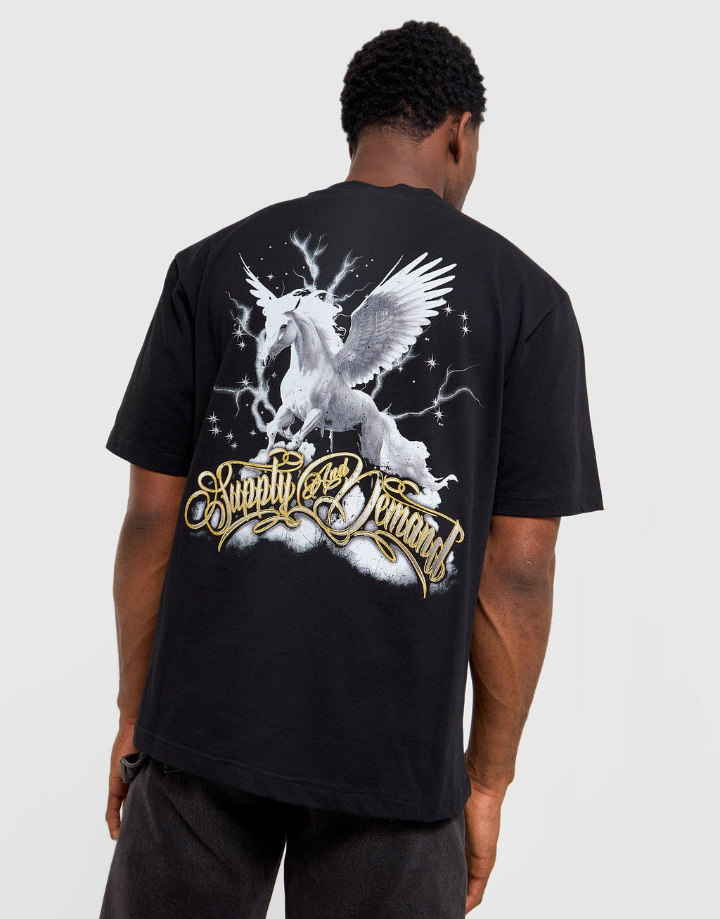 Pegasus T-Shirt