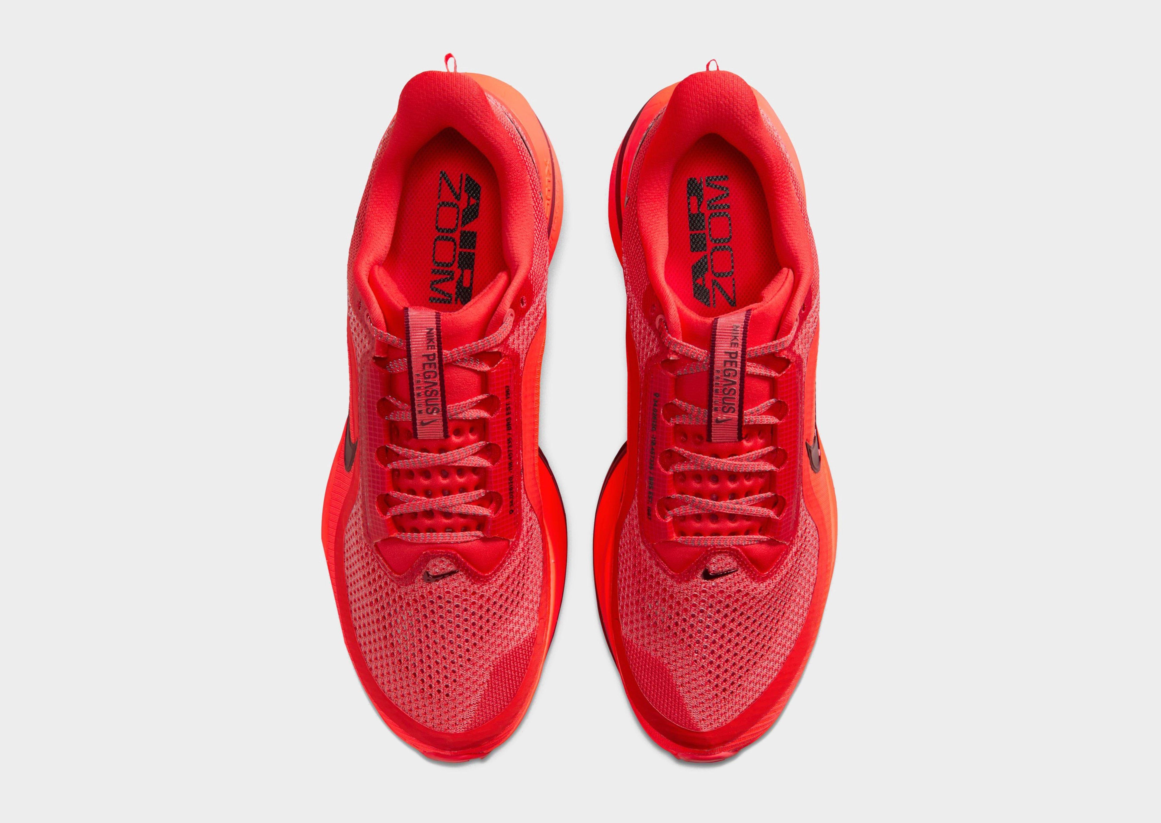 Pegasus Premium