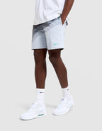 Air Max 95 Swim Shorts